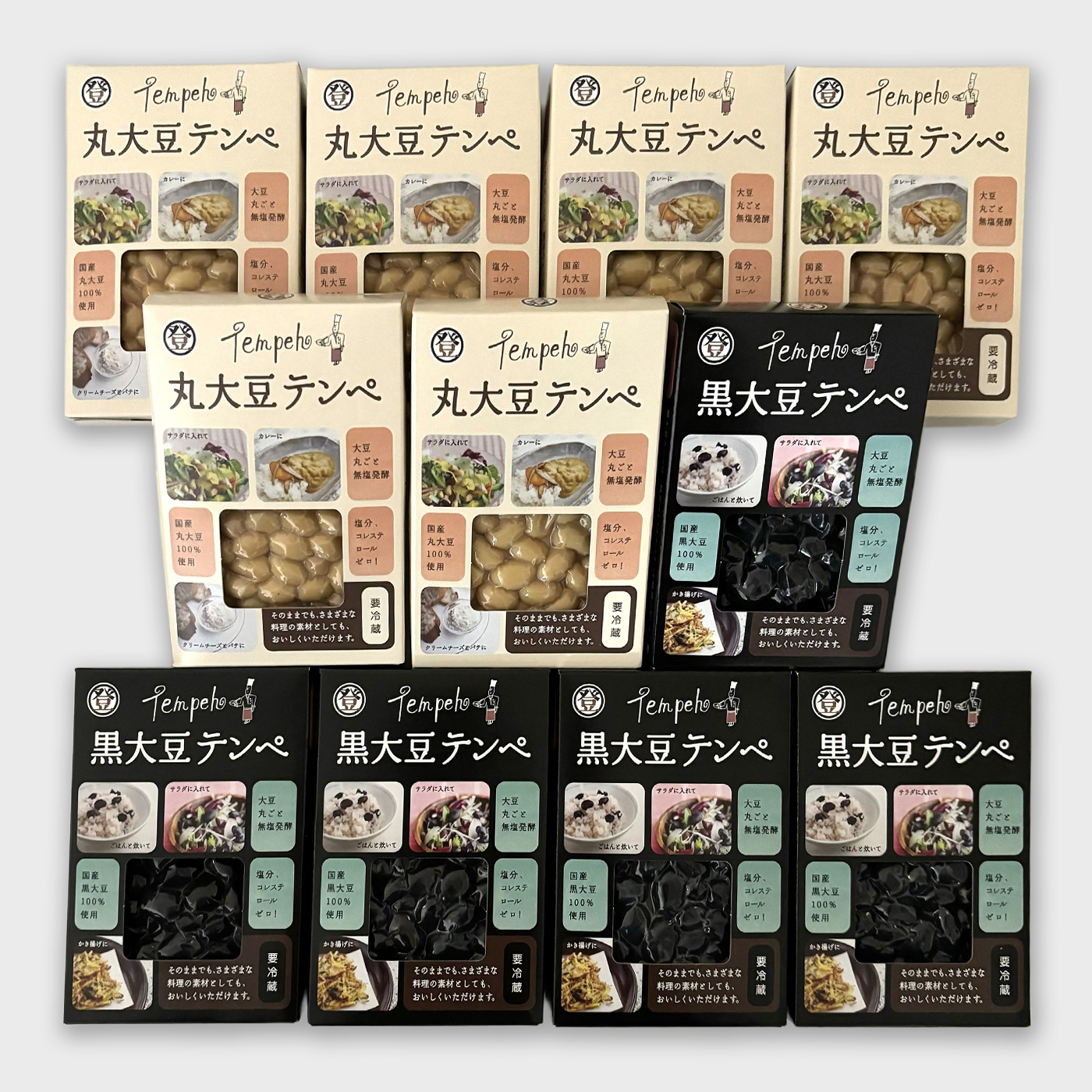 送料無料　丸大豆テンペセット