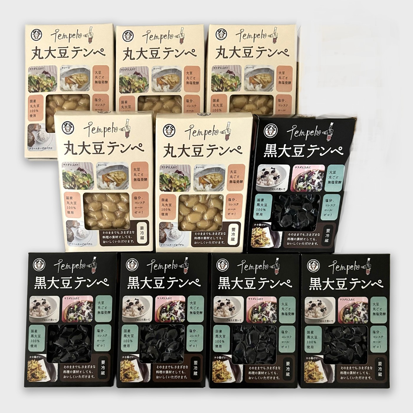 送料無料　丸大豆テンペセット